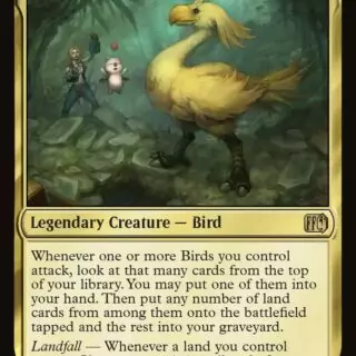 Choco, Seeker of Paradise - Rare - #215 - Inglés (FF)