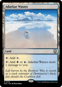 Adarkar Wastes (Ripple Foil) - #316 - Rare - Inglés