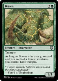 Brawn (Ripple Foil) - #224 - Uncommon - Inglés