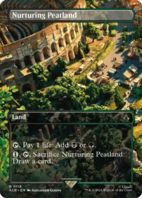 Nurturing Peatland (Borderless) (Foil) - Rare - #114 - Inglés (AC)