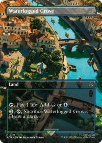 Waterlogged Grove (Borderless) (Foil) - Rare - #116 - Inglés (AC)