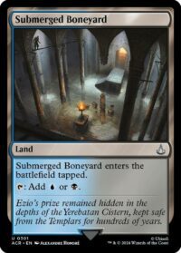 Submerged Boneyard (Foil) - Uncommon - #301 - Inglés (AC)