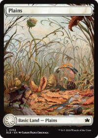 Plains (Foil) - #264 - Land - Inglés