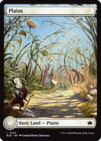 Plains (Foil) - #262 - Land - Inglés