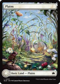 Plains (Foil) - #263 - Land - Inglés