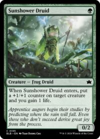 Sunshower Druid (Foil) - #195 - Common - Inglés