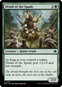 Druid of the Spade (Foil) - #170 - Common - Inglés