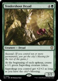 Tendershoot Dryad (CD) - #242 - Rare - Inglés