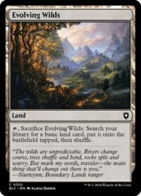 Evolving Wilds (CD) - #302 - Common - Inglés