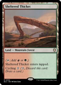 Sheltered Thicket (Foil) (CD) - #330 - Rare - Inglés
