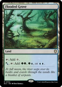 Flooded Grove (Foil) (CD) - #304 - Rare - Inglés