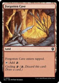 Forgotten Cave (Foil) (CD) - #305 - Common - Inglés