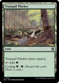 Tranquil Thicket (CD) - #350 - Common - Inglés