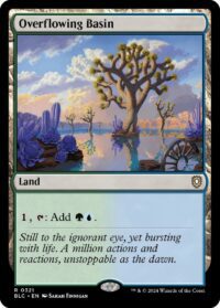 Overflowing Basin (CD) - #321 - Rare - Inglés