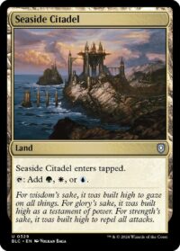 Seaside Citadel (Foil) (CD) - #329 - Uncommon - Inglés