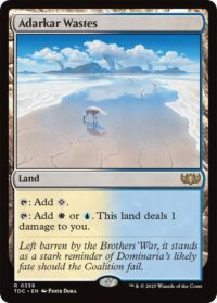 Adarkar Wastes - Rare - #338 - Inglés (CommanderDeck TR)