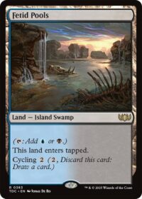 Fetid Pools - Rare - #363 - Inglés (CommanderDeck TR)
