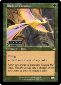 Birds of Paradise (Retro Frame) (Serial Numbered) - #344 - Rare  - Español