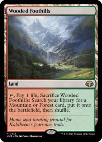 Wooded Foothills (Foil) - #236 - Rare - Inglés