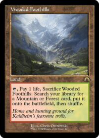 Wooded Foothills (Retro Frame) (Foil) - #441 - Rare - Inglés