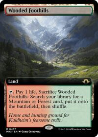 Wooded Foothills (Extended Art) (Foil) - #467 - Rare - Inglés