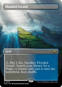 Flooded Strand (Borderless) (Foil) - #353 - Rare - Inglés