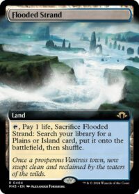 Flooded Strand (Extended Art) - #464 - Rare - Inglés