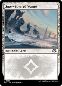 Snow-Covered Wastes (Foil) - #229 - Uncommon - Inglés