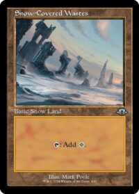 Snow-Covered Wastes (Retro Frame) (Foil) - #439 - Uncommon - Inglés