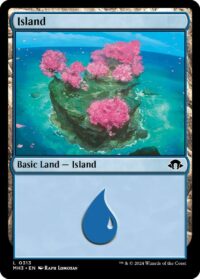 Island - #313 - Land - Inglés