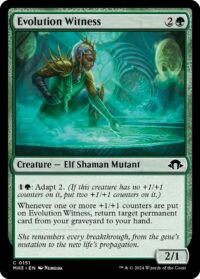 Evolution Witness (Foil) - #151 - Common - Inglés