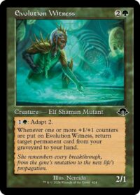 Evolution Witness (Retro Frame) (Foil) - #424 - Common - Inglés