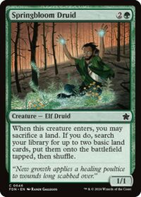 Springbloom Druid (Foil) - #646 - Common - Inglés