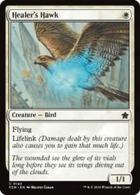 Healer's Hawk (Foil) - #142 - Common - Inglés
