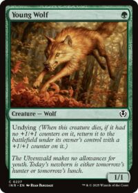 Young Wolf (Foil) - #227 - Common - Inglés