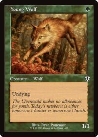 Young Wolf (Retro Frame) (Foil) - #425 - Common - Inglés
