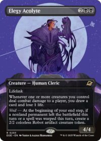 Elegy Acolyte (Borderless) - #293 - Rare - Español