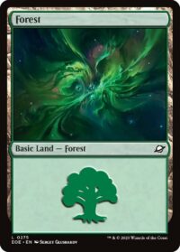 Forest - #275 - Land - Español