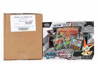 6x Pokemon TCG Scarlet & Violet - Black Bolt & White Flare - Unova Illustration Collection - Español (Case sellado) [OFERTA DE REMATE]