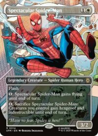 Spectacular Spider-Man (Borderless) (Foil) - #14 - Rare - Inglés