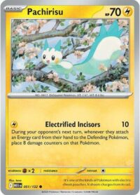 Pachirisu - 051/132 - Common - Inglés