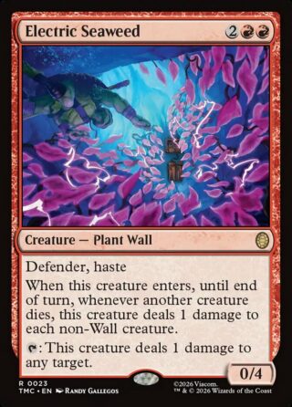 Electric Seaweed - Rare - #23 - Inglés
